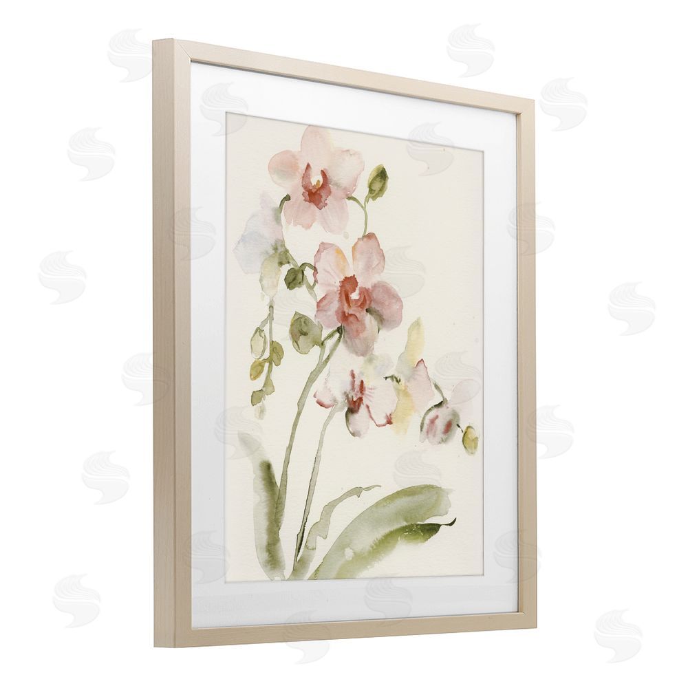 Victoria Barnes Gentle Pink Orchid in Bloom Brown Framed Print Under Glass Wall Art