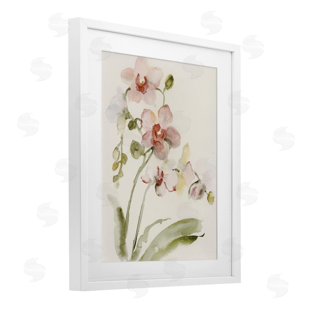 Victoria Barnes Gentle Pink Orchid in Bloom White Framed Print Under Glass Wall Art