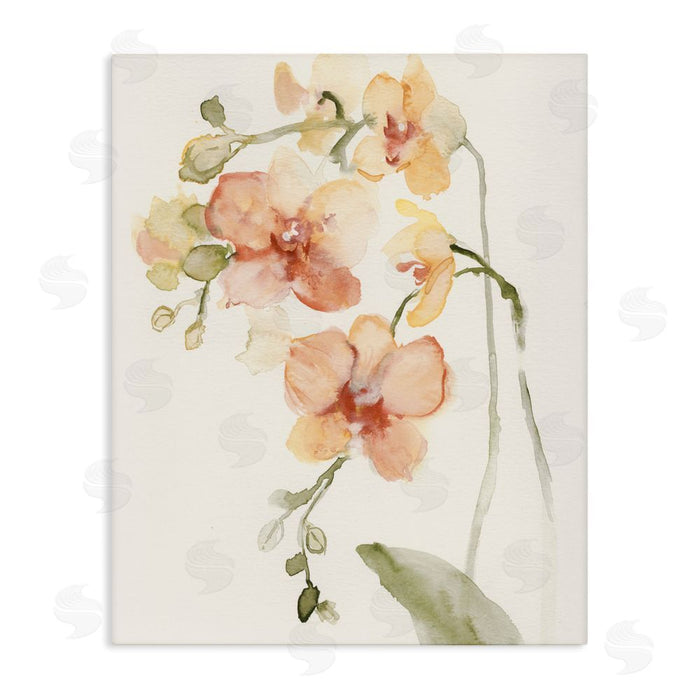 Victoria Barnes Peach Orchid in Bloom Stretched Canvas Wall Art