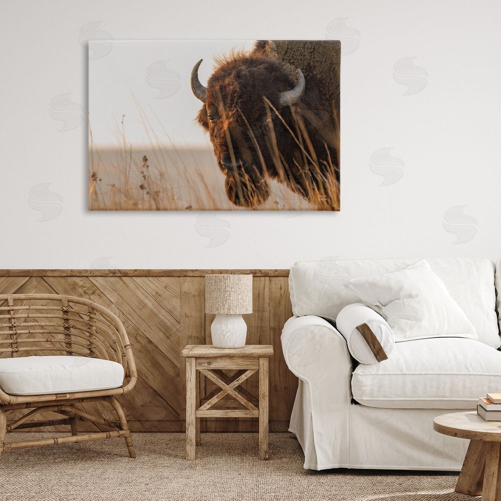 Nathan Larson Bison Sunset on Golden Prairie Stretched Canvas Wall Art Print in Room