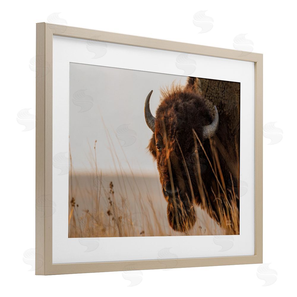 Nathan Larson Bison Sunset on Golden Prairie Brown Framed Print Under Glass with Matting Wall Art