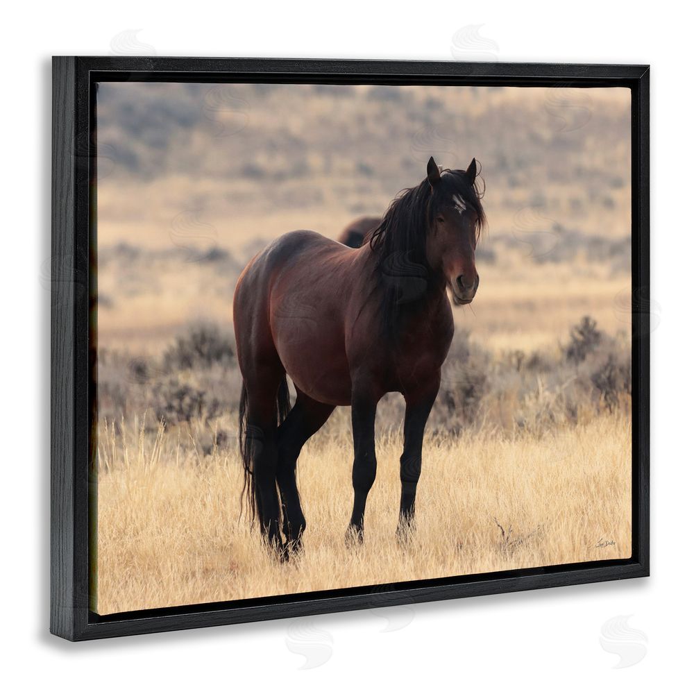 Lori Deiter Brown Beauty Wild Horse Black Floating Frame Canvas Wall Art Print