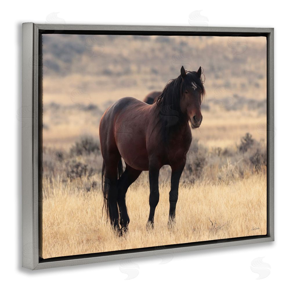 Lori Deiter Brown Beauty Wild Horse Gray Floating Frame Canvas Wall Art Print