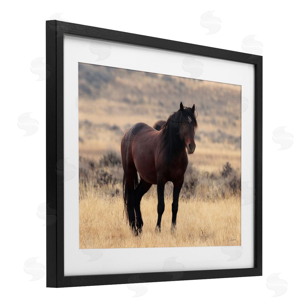 Lori Deiter Brown Beauty Wild Horse Black Framed Print Under Glass Wall Art