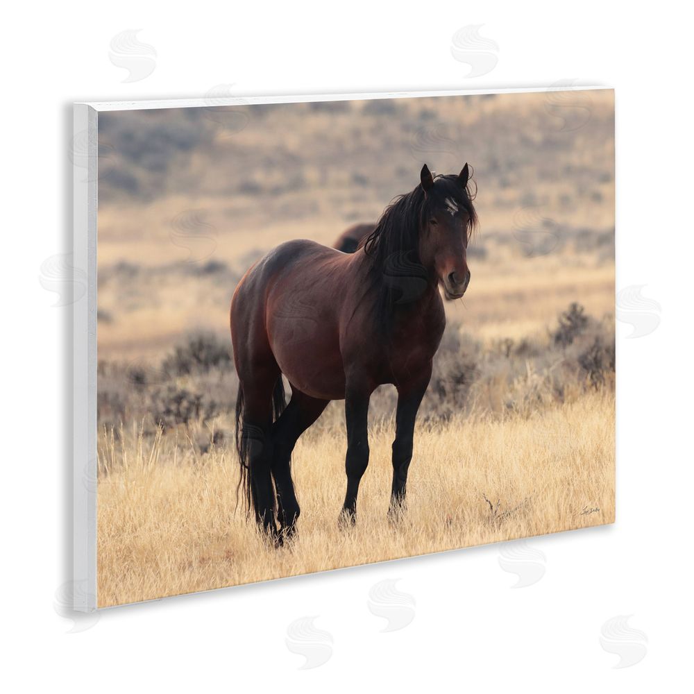 Lori Deiter Brown Beauty Wild Horse Wooden Wall Plaque Art Print