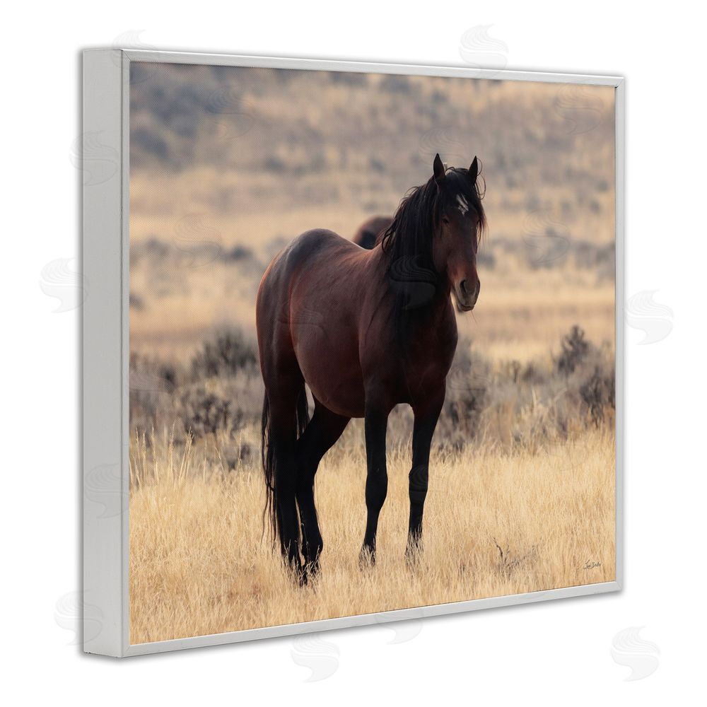 Lori Deiter Brown Beauty Wild Horse White Framed Giclee Wall Art Print