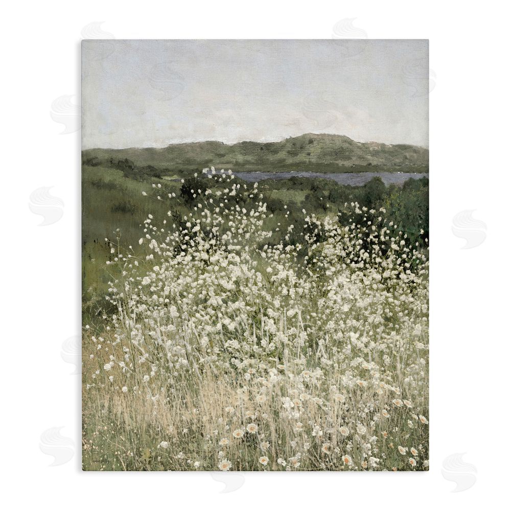 Amber Sterling Sunlit Meadow of White Daisies Stretched Canvas Wall Art Print