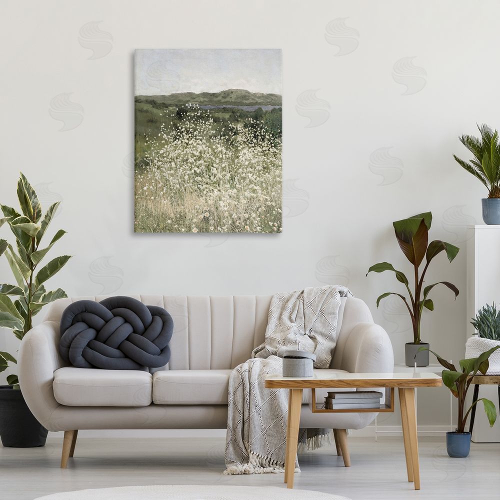 Amber Sterling Sunlit Meadow of White Daisies Stretched Canvas on Wall