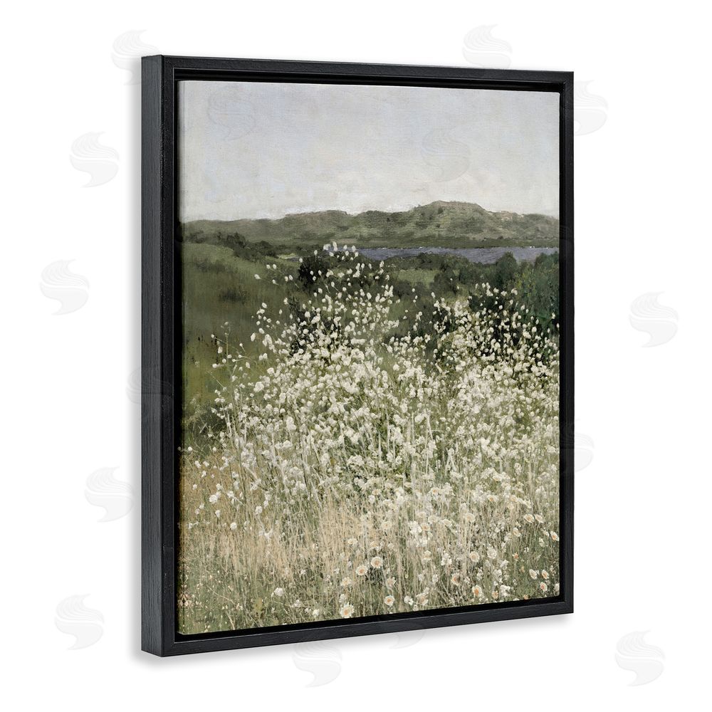 Amber Sterling Sunlit Meadow of White Daisies Black Floating Framed Canvas Wall Art Print