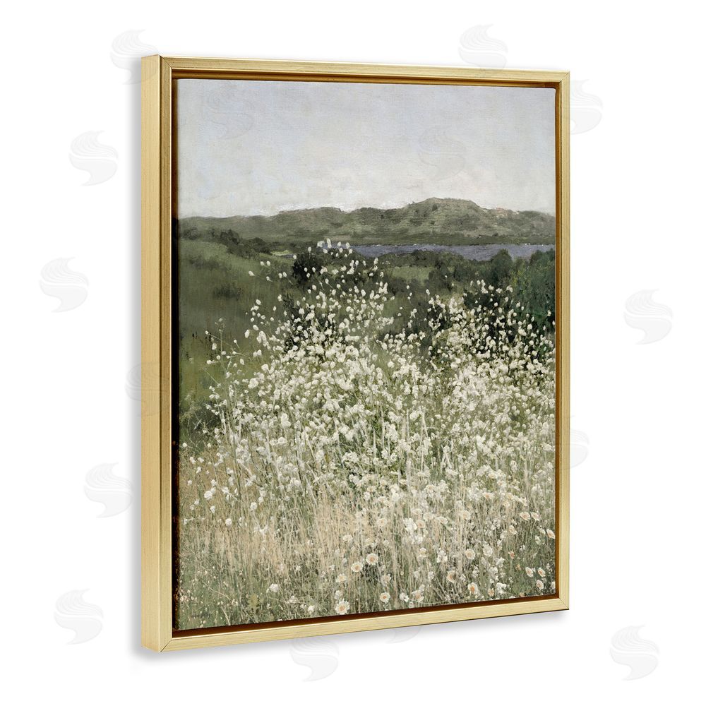 Amber Sterling Sunlit Meadow of White Daisies Gold Floating Framed Canvas Wall Art Print