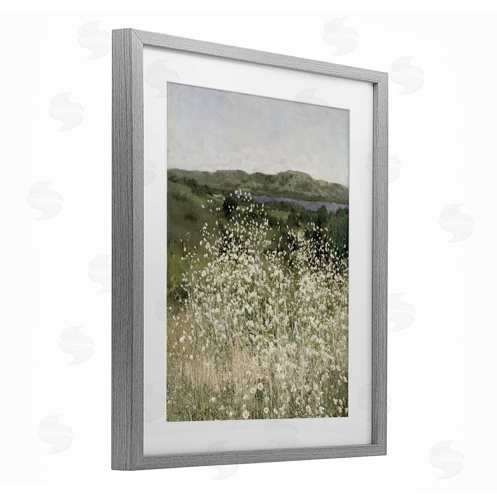 Amber Sterling Sunlit Meadow of White Daisies Gray Framed Print Under Glass with White Mat Wall Art