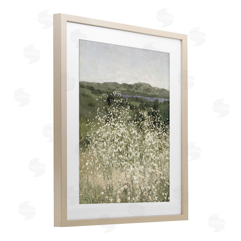 Amber Sterling Sunlit Meadow of White Daisies Brown Framed Print Under Glass with White Mat Wall Art