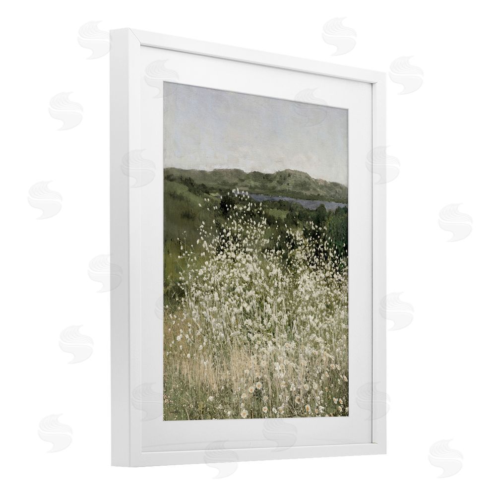 Amber Sterling Sunlit Meadow of White Daisies White Framed Print Under Glass with White Mat Wall Art
