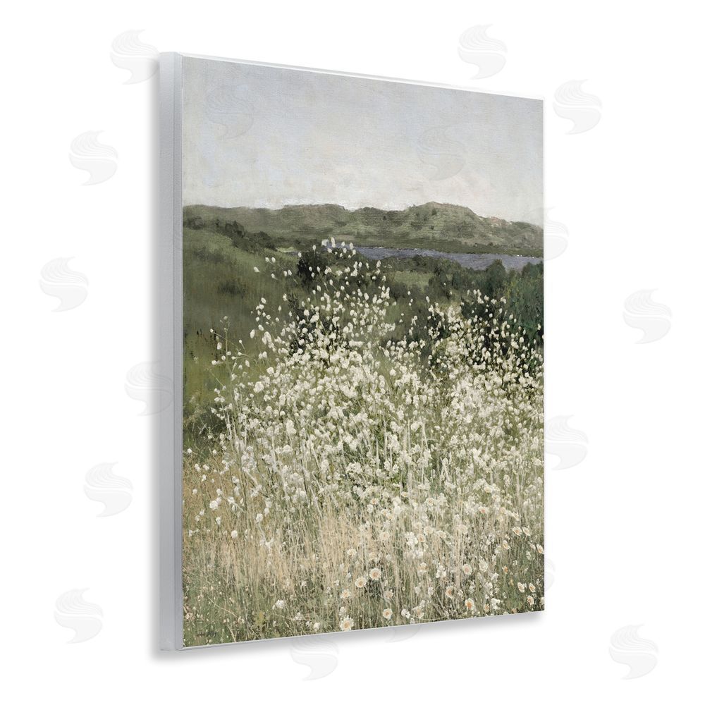 Amber Sterling Sunlit Meadow of White Daisies Wall Plaque Printed Art