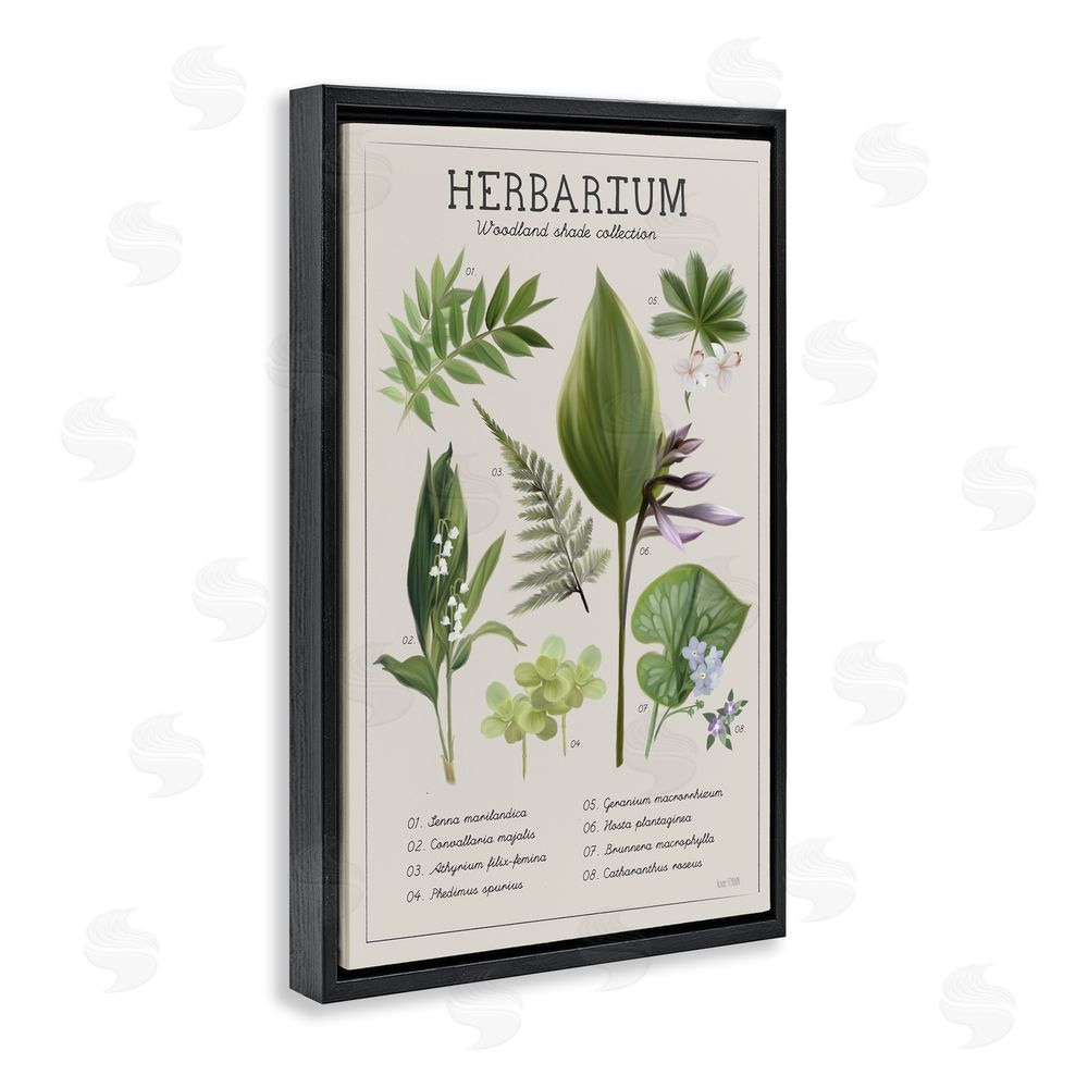 Penny Lane Publishing Herbarium Woodland Shade Collection Black Floating Frame Canvas Wall Art Print