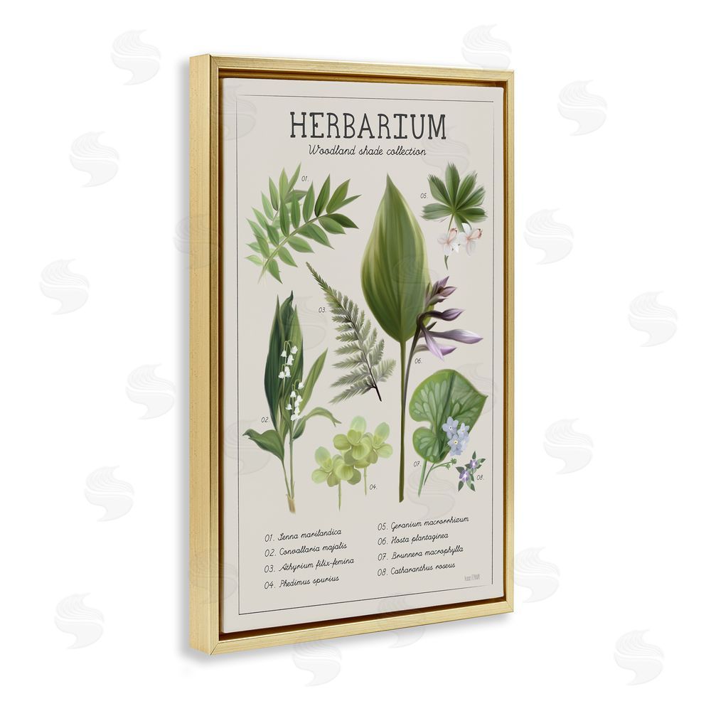 Penny Lane Publishing Herbarium Woodland Shade Collection Gold Floating Frame Canvas Wall Art Print