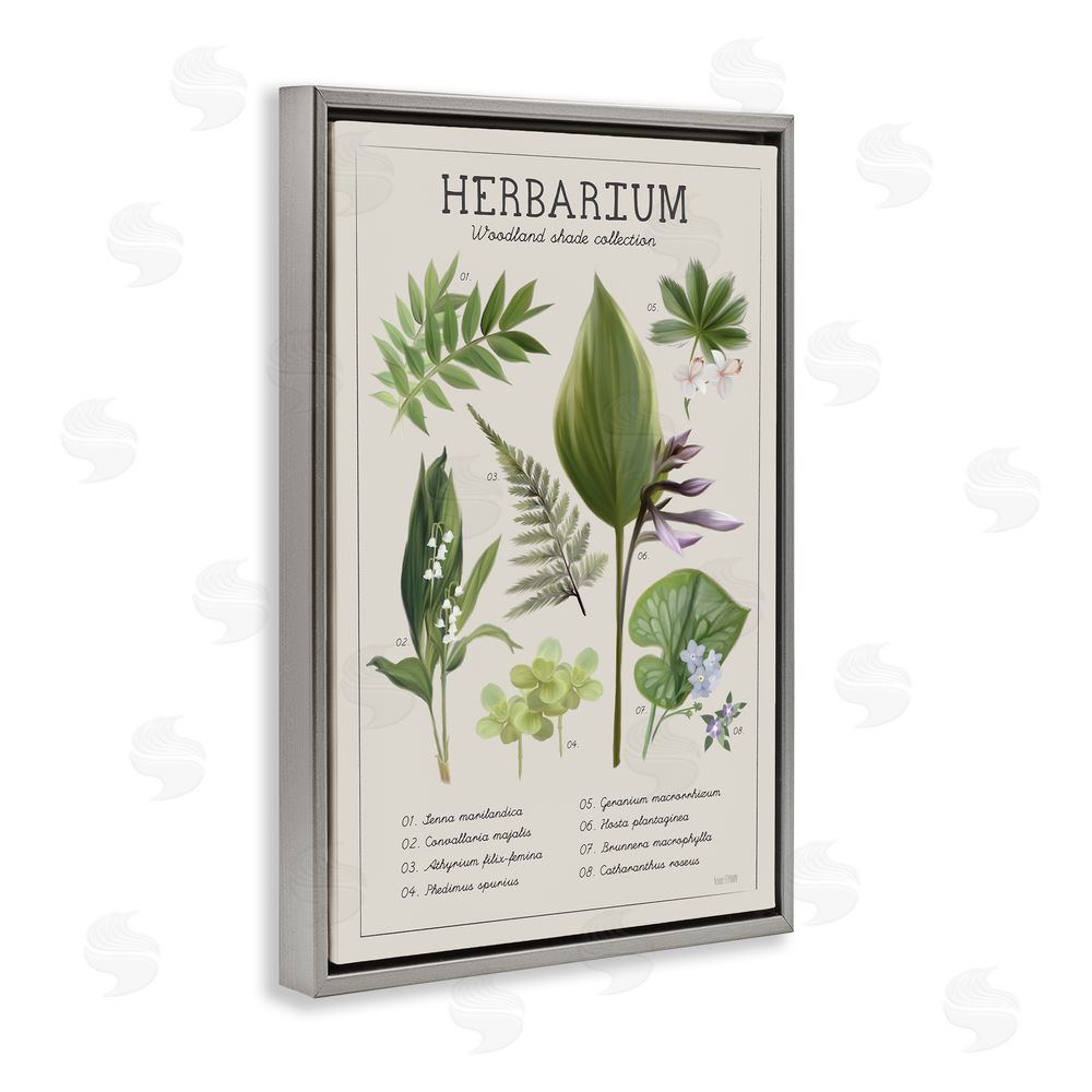 Penny Lane Publishing Herbarium Woodland Shade Collection Gray Floating Frame Canvas Wall Art Print