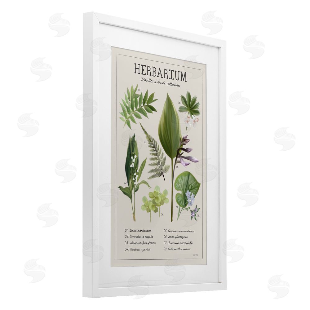 Penny Lane Publishing Herbarium Woodland Shade Collection White Framed Print Under Glass Wall Art