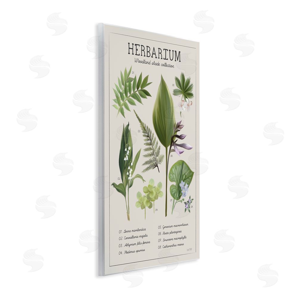 Penny Lane Publishing Herbarium Woodland Shade Collection Wall Plaque Printed Art