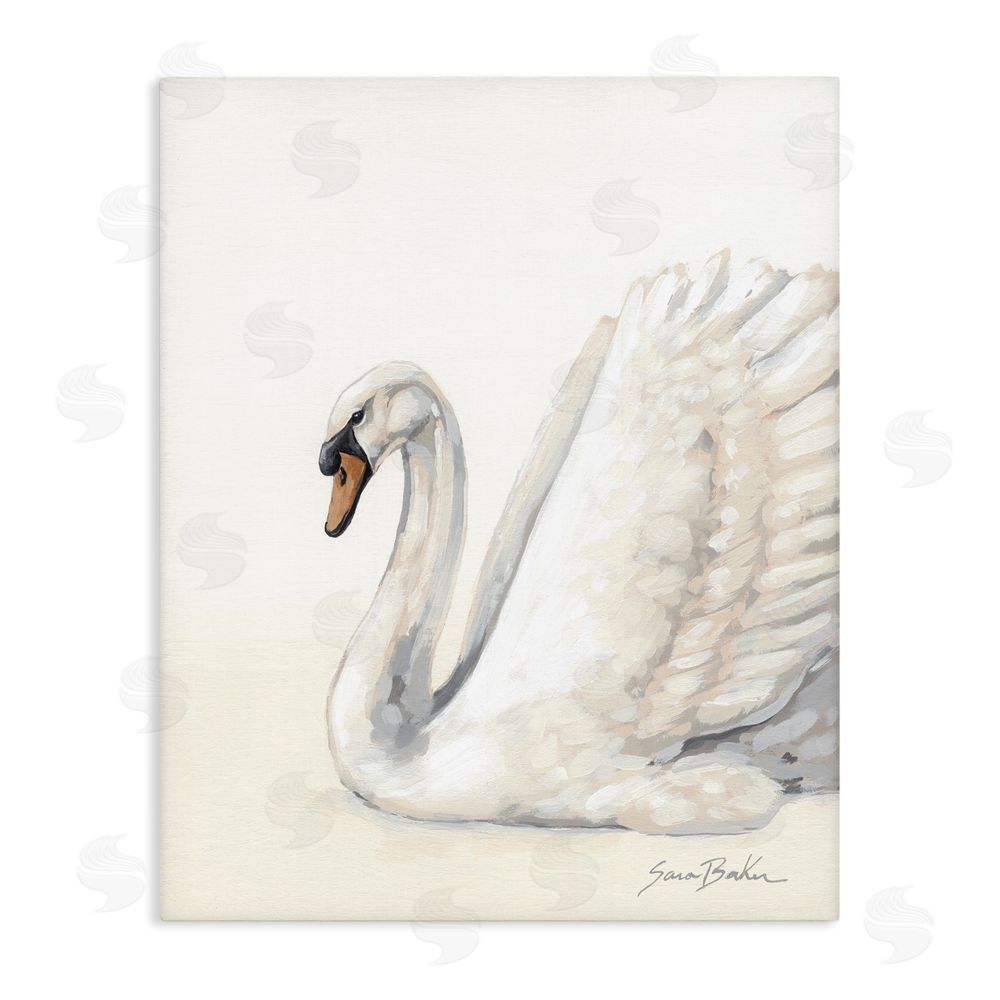 Sara Baker White Swan in Repose Stretched Canvas Wall Art Print