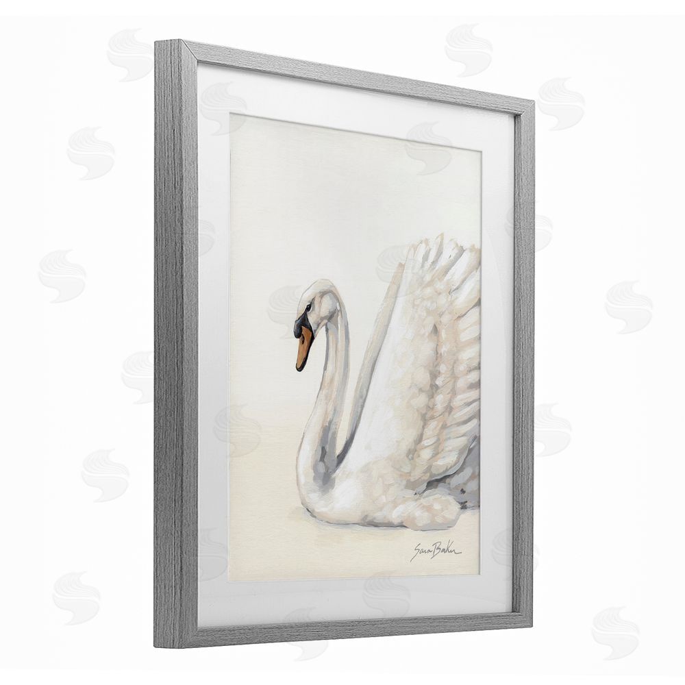 Sara Baker White Swan in Repose Gray Framed Print Under Glass with White Mat Wall Art