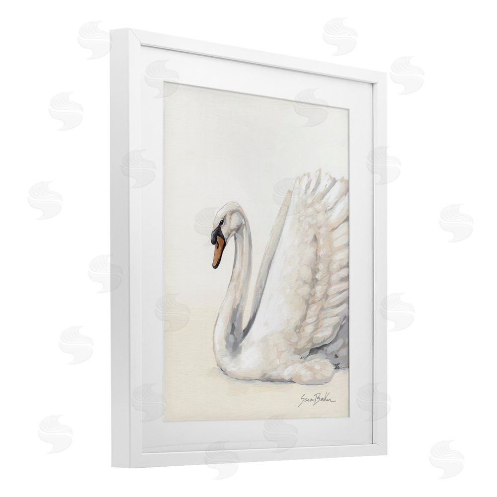 Sara Baker White Swan in Repose White Framed Print Under Glass with White Mat Wall Art