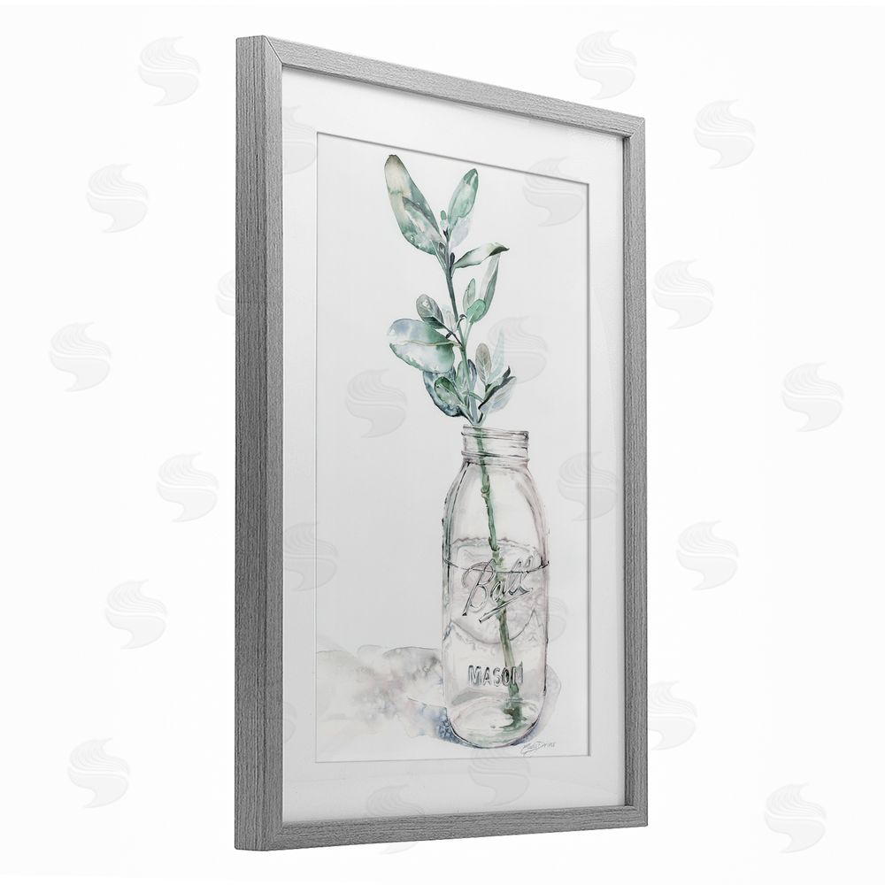 Cady Driver Minimal Herb in Glass Jar Gray Framed Print Under Glass with White Mat Wall Art