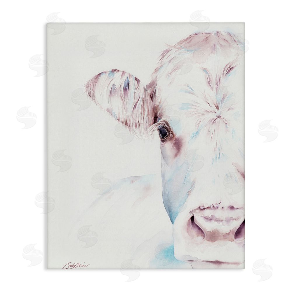 Cady Driver Gentle White Cow Portrait Canvas Wall Art Print