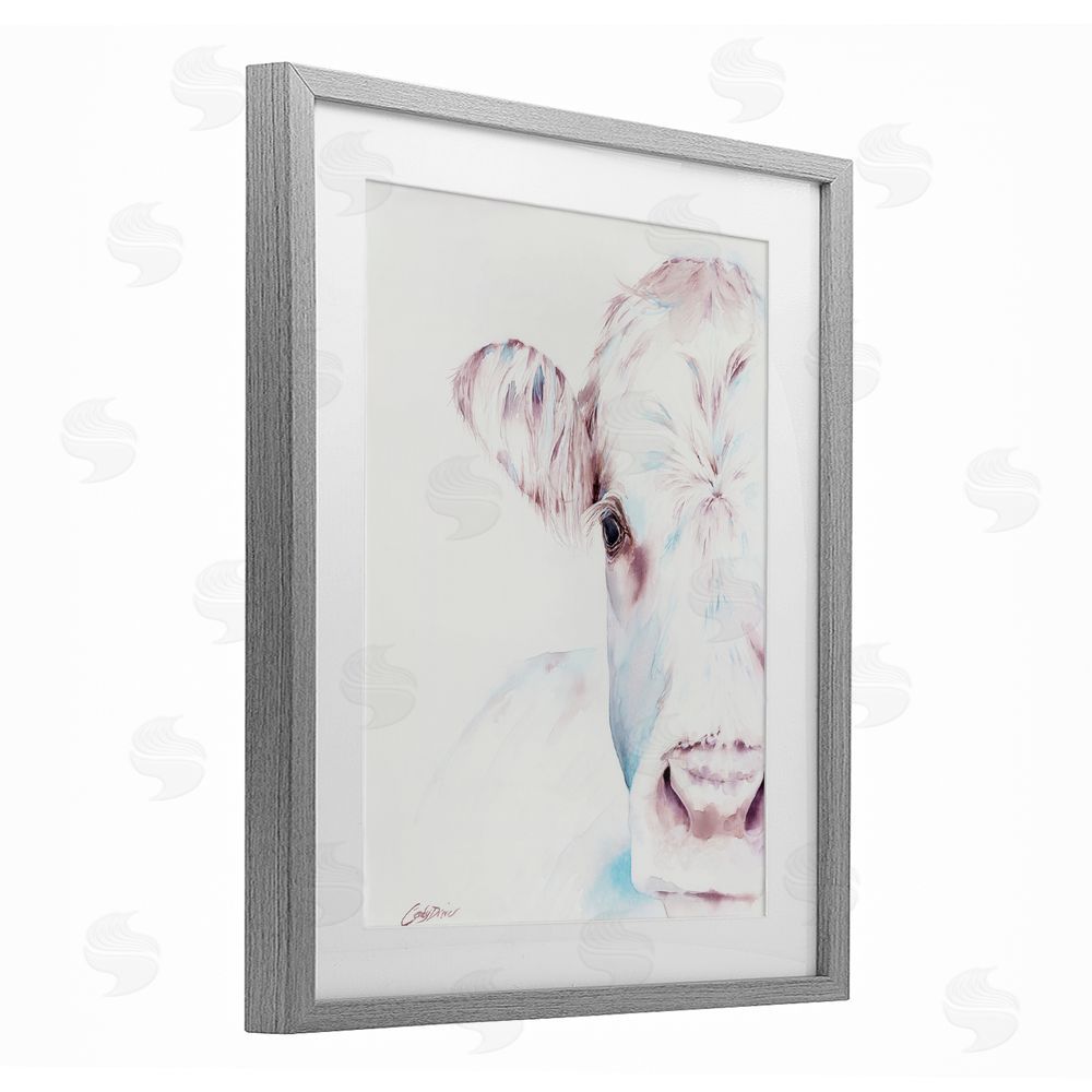 Cady Driver Gentle White Cow Portrait Gray Framed Print Under Glass with White Mat Wall Art