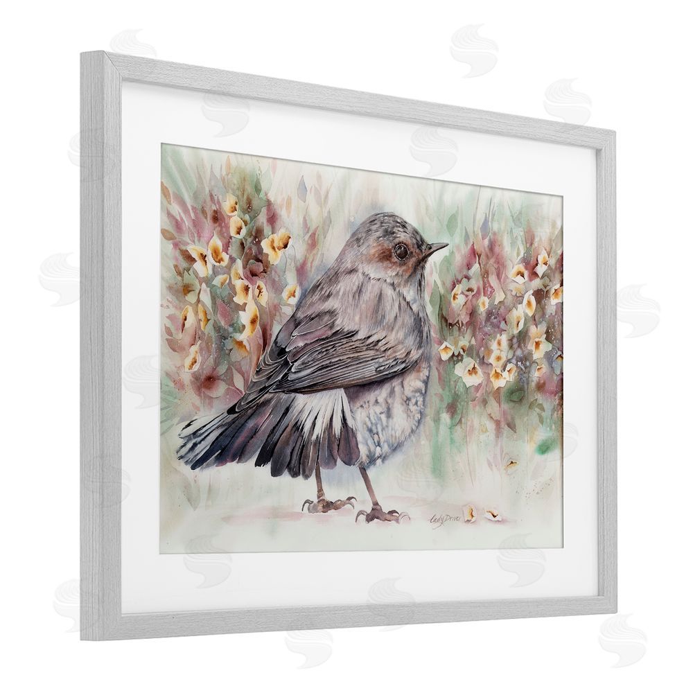 Cady Driver Peaceful Spring Bird & Flowers Gray Framed Print Under Glass with White Mat Wall Art