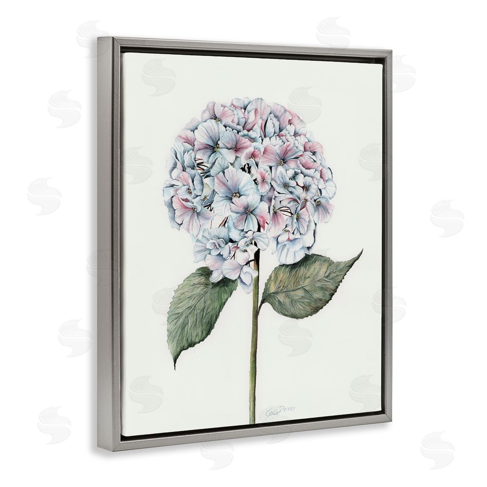 Cady Driver Round Hydrangea Bulb Gray Floating Frame Canvas Wall Art Print