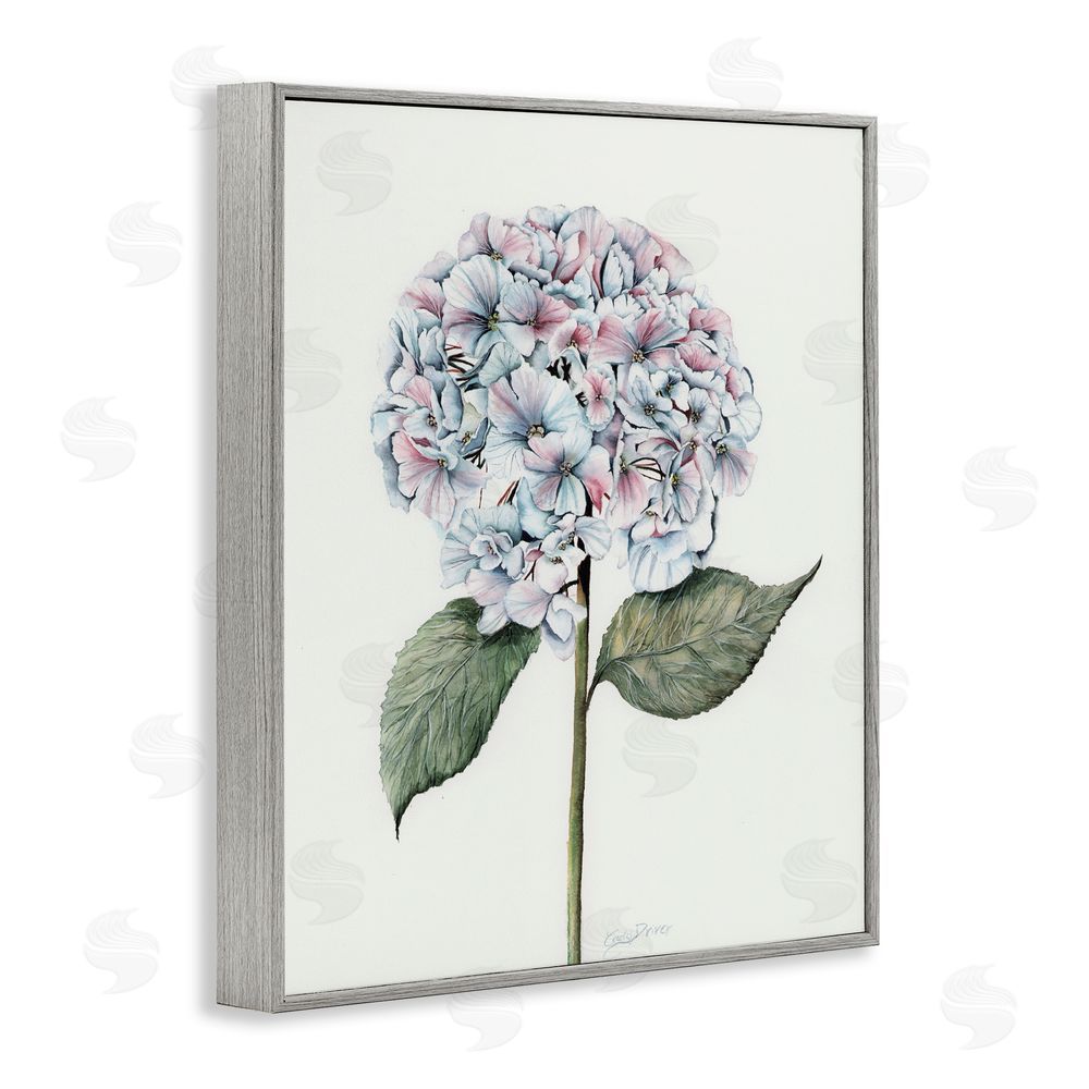 Cady Driver Round Hydrangea Bulb Gray Framed Giclee Wall Art Print