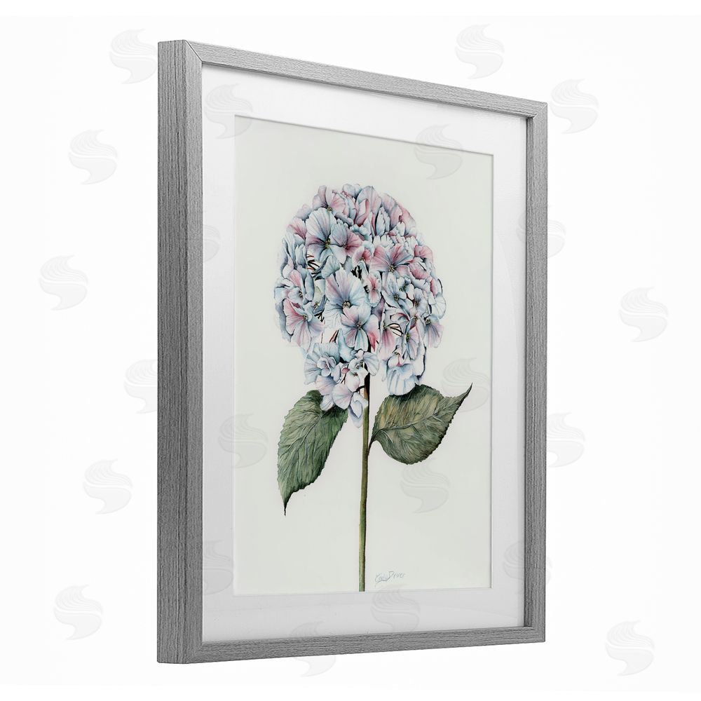 Cady Driver Round Hydrangea Bulb Gray Framed Print Under Glass with White Mat Wall Art