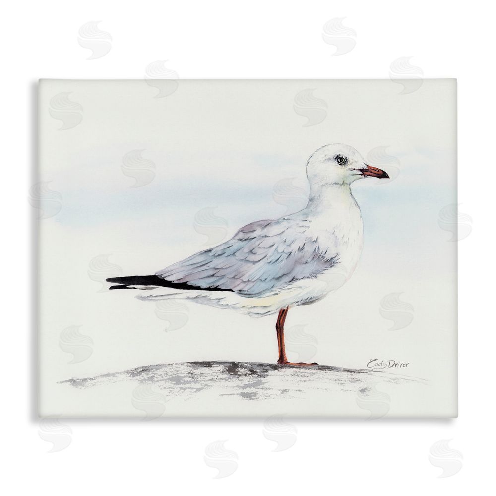 Cady Driver Seagull On Sand Portrait Canvas Wall Art Print