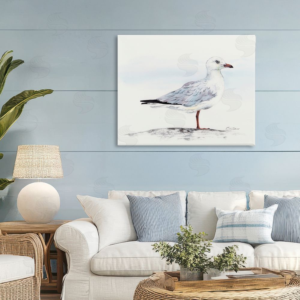 Cady Driver Seagull On Sand Portrait Canvas Art on Wall