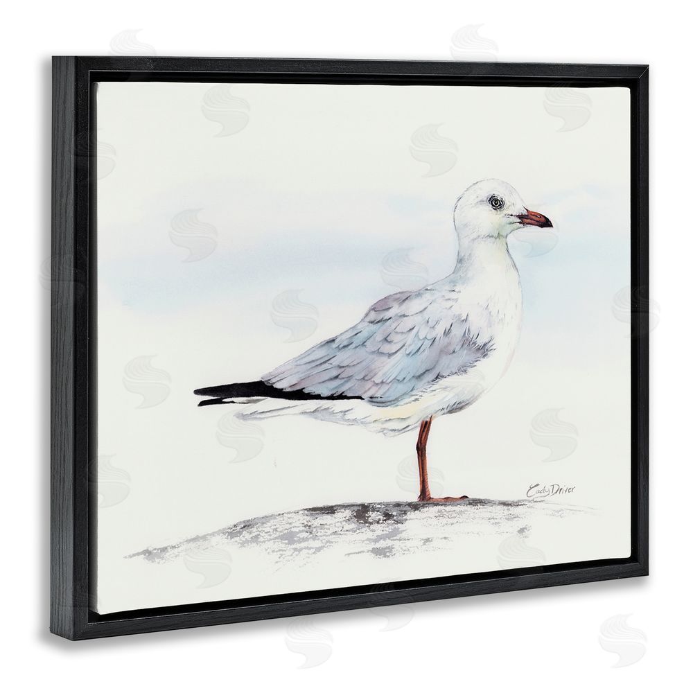 Cady Driver Seagull On Sand Portrait Black Floating Frame Canvas Wall Art Print