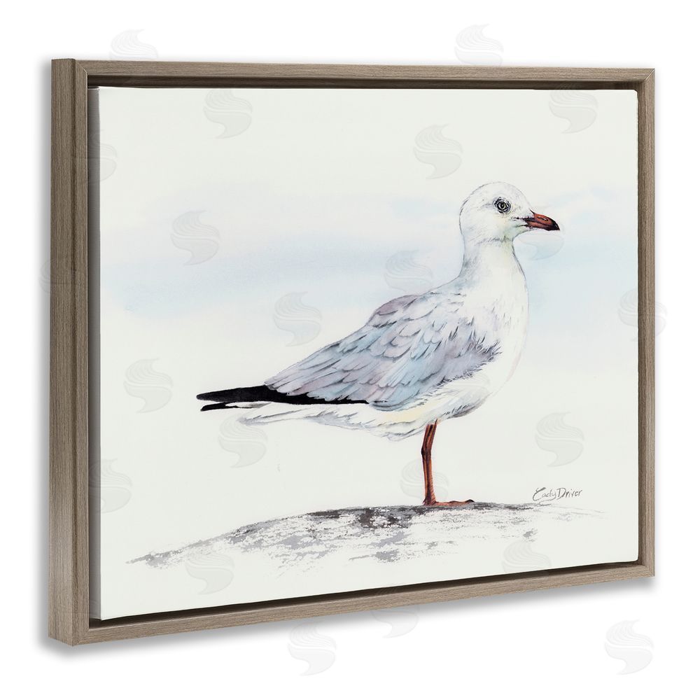 Cady Driver Seagull On Sand Portrait Brown Floating Frame Canvas Wall Art Print