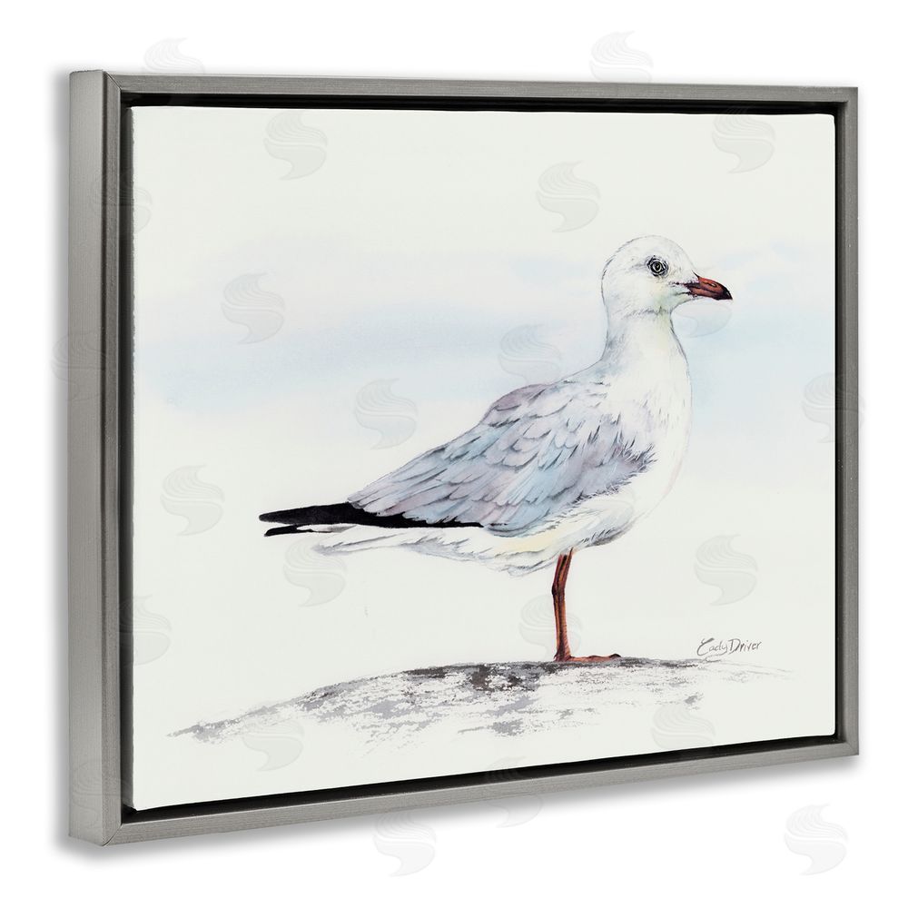 Cady Driver Seagull On Sand Portrait Gray Floating Frame Canvas Wall Art Print