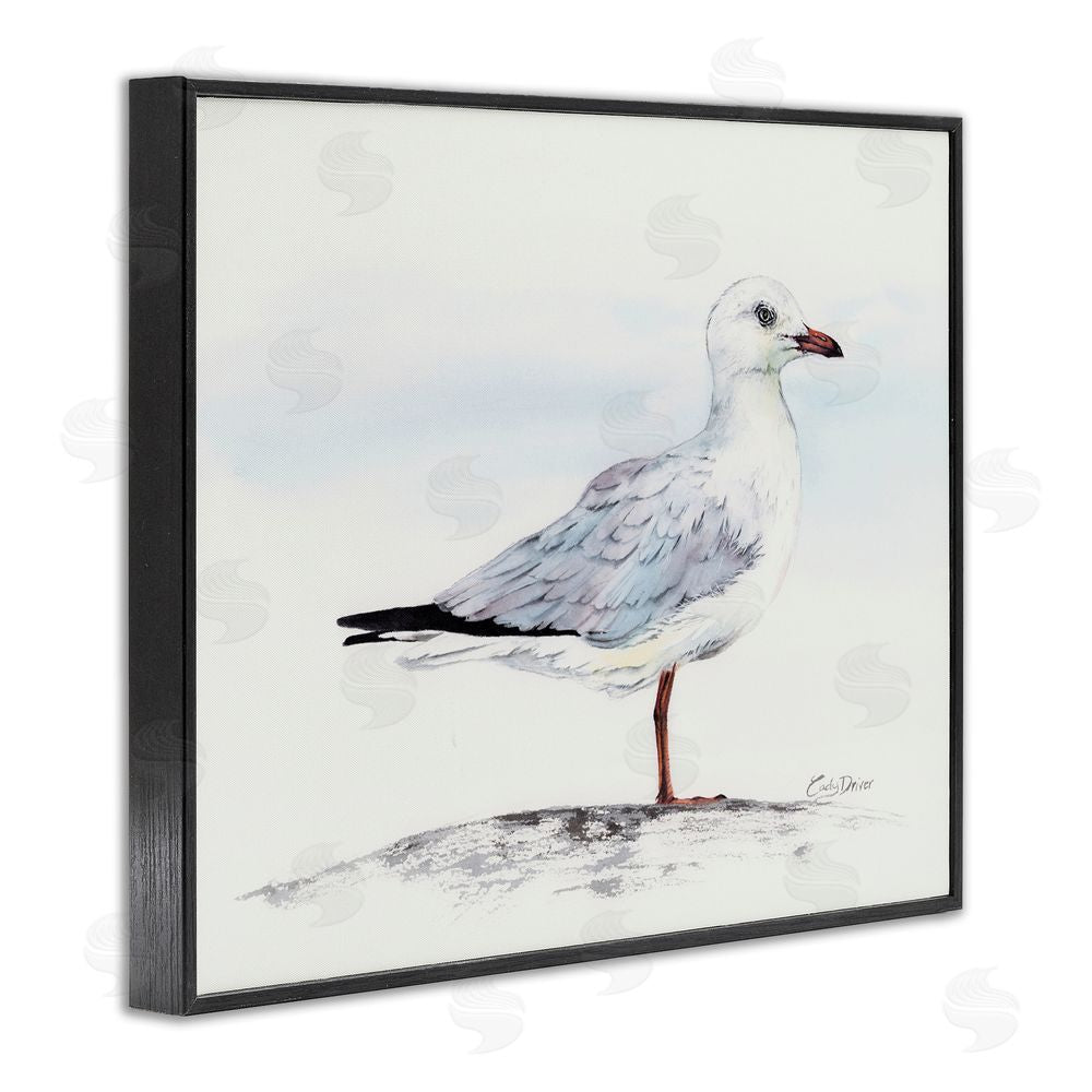 Cady Driver Seagull On Sand Portrait Black Framed Giclee Wall Art Print