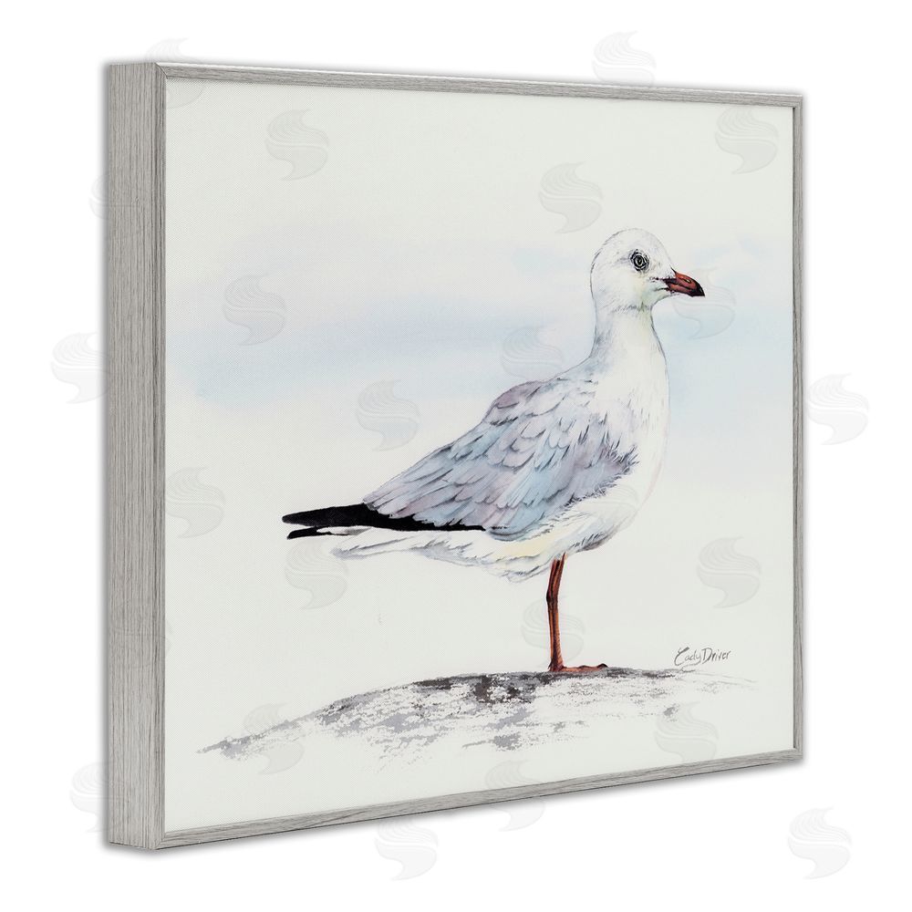 Cady Driver Seagull On Sand Portrait Gray Framed Giclee Wall Art Print