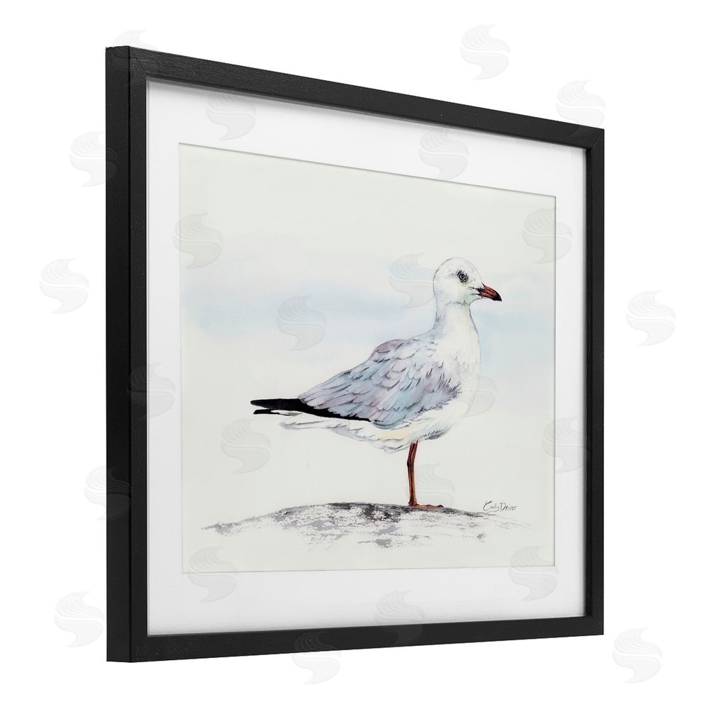 Cady Driver Seagull On Sand Portrait Black Framed Print Under Glass with White Mat Wall Art