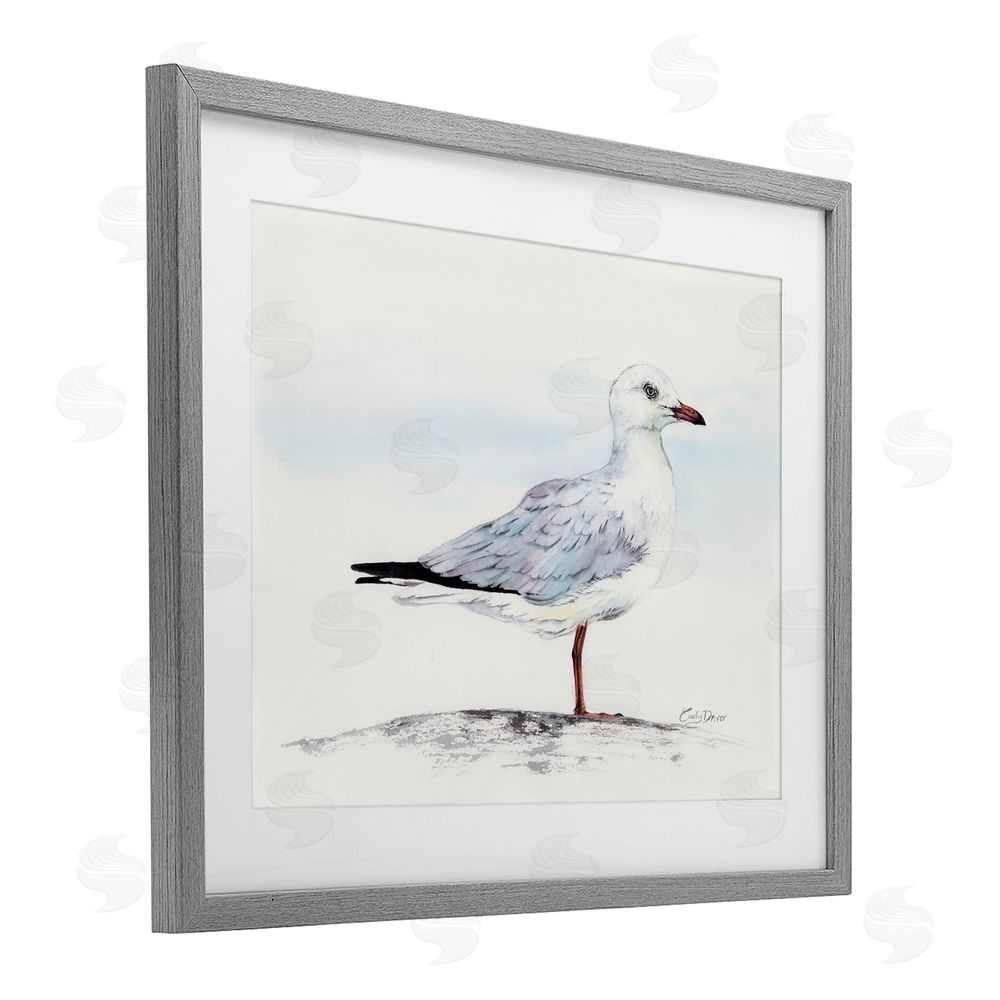 Cady Driver Seagull On Sand Portrait Gray Framed Print Under Glass with White Mat Wall Art