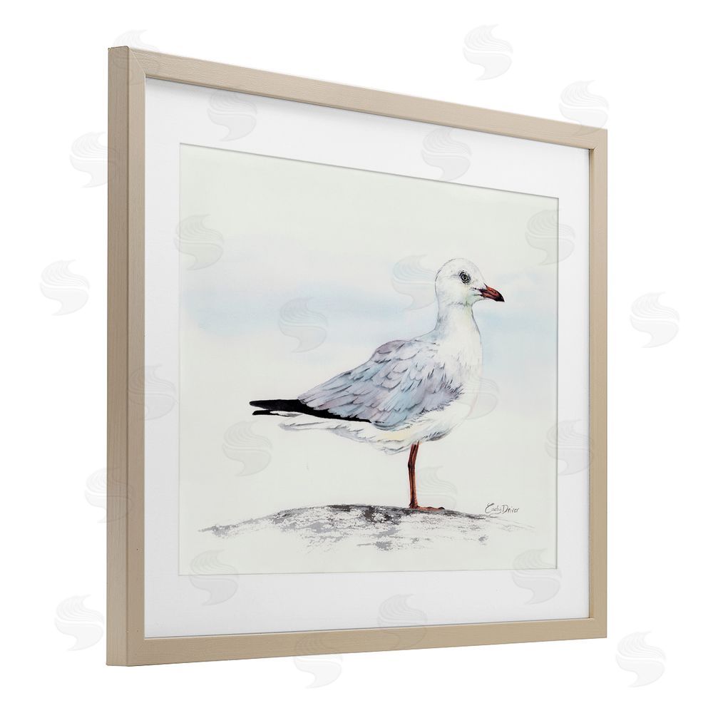 Cady Driver Seagull On Sand Portrait Birch Framed Print Under Glass with White Mat Wall Art