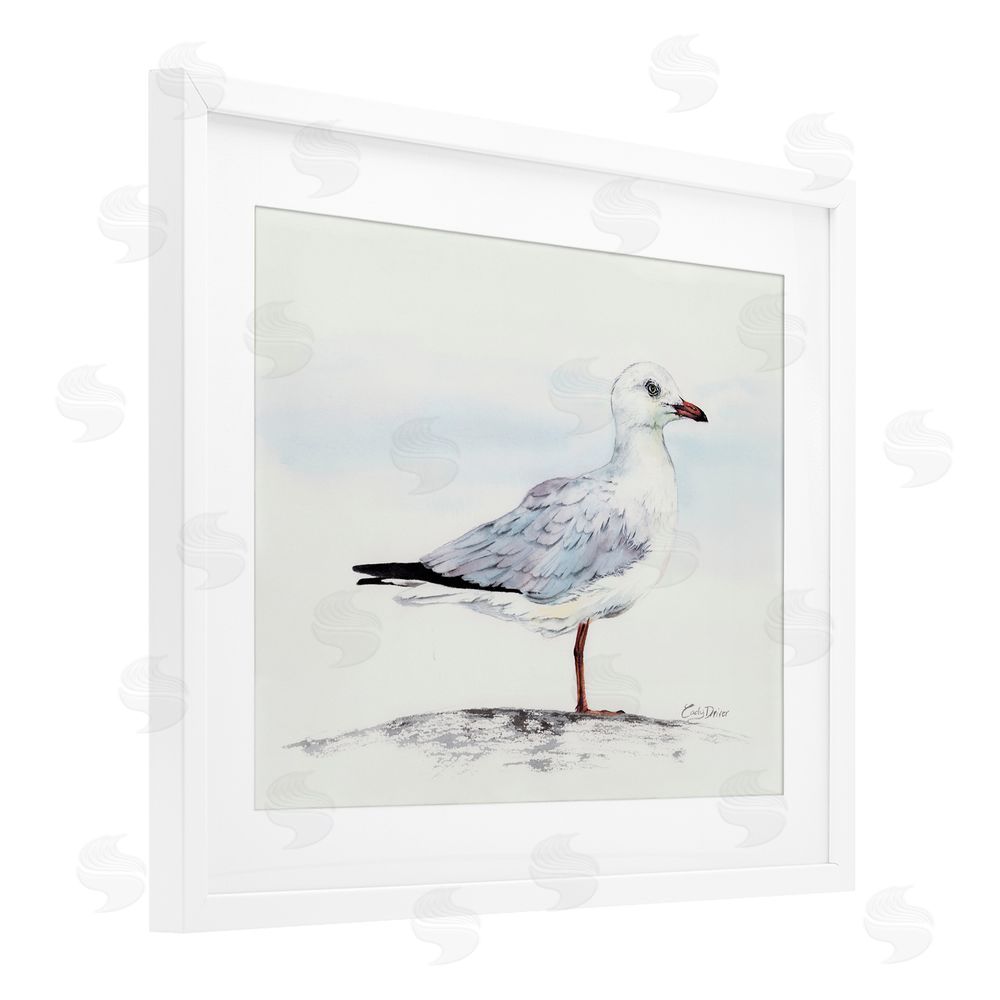 Cady Driver Seagull On Sand Portrait White Framed Print Under Glass with Mat Wall Art