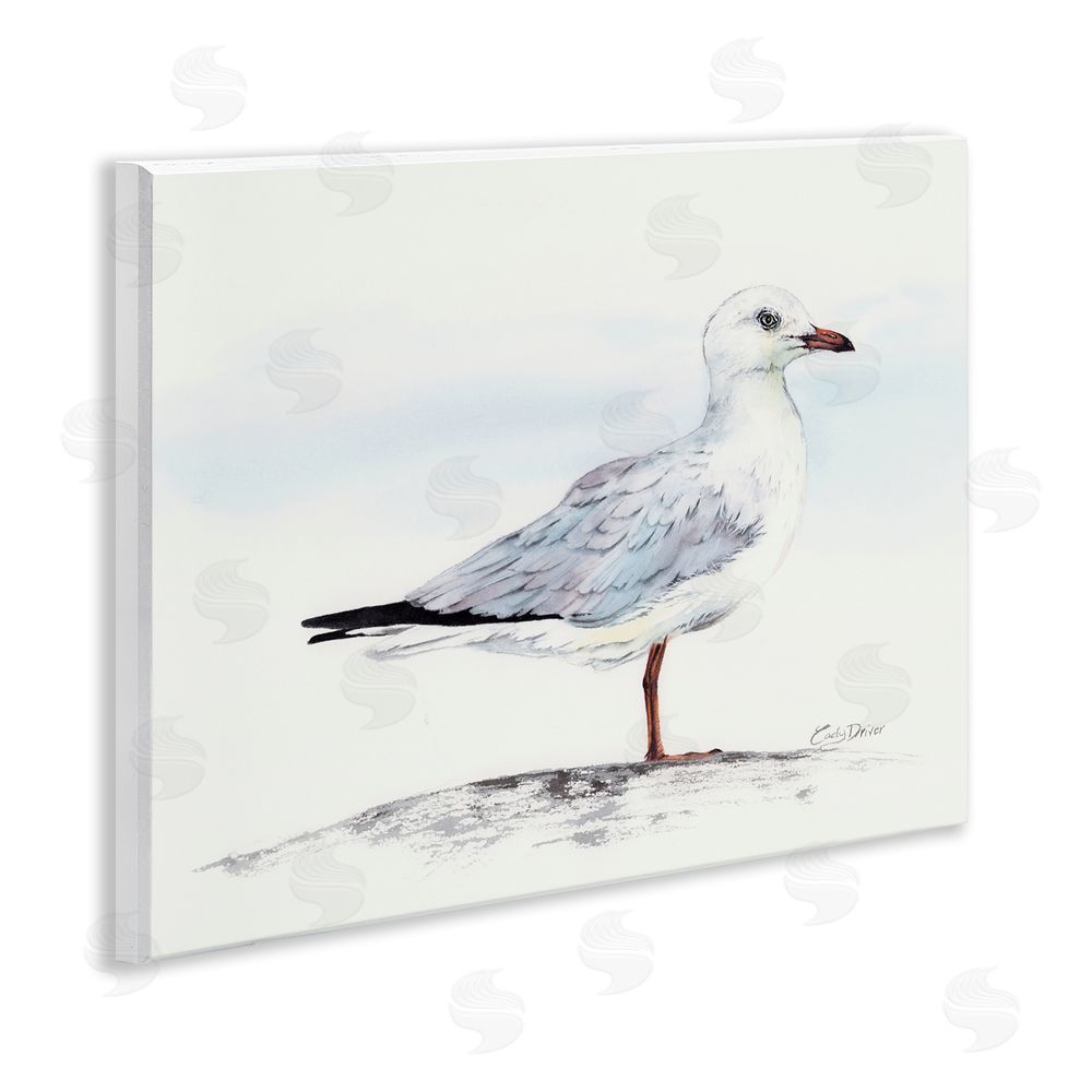 Cady Driver Seagull On Sand Portrait Wall Plaque Art Print