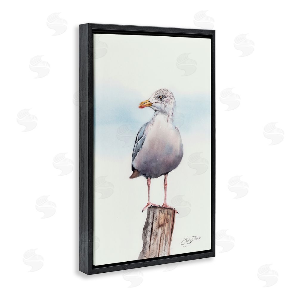 Cady Driver Seaside Seagull Perch Black Floating Frame Canvas Wall Art Print