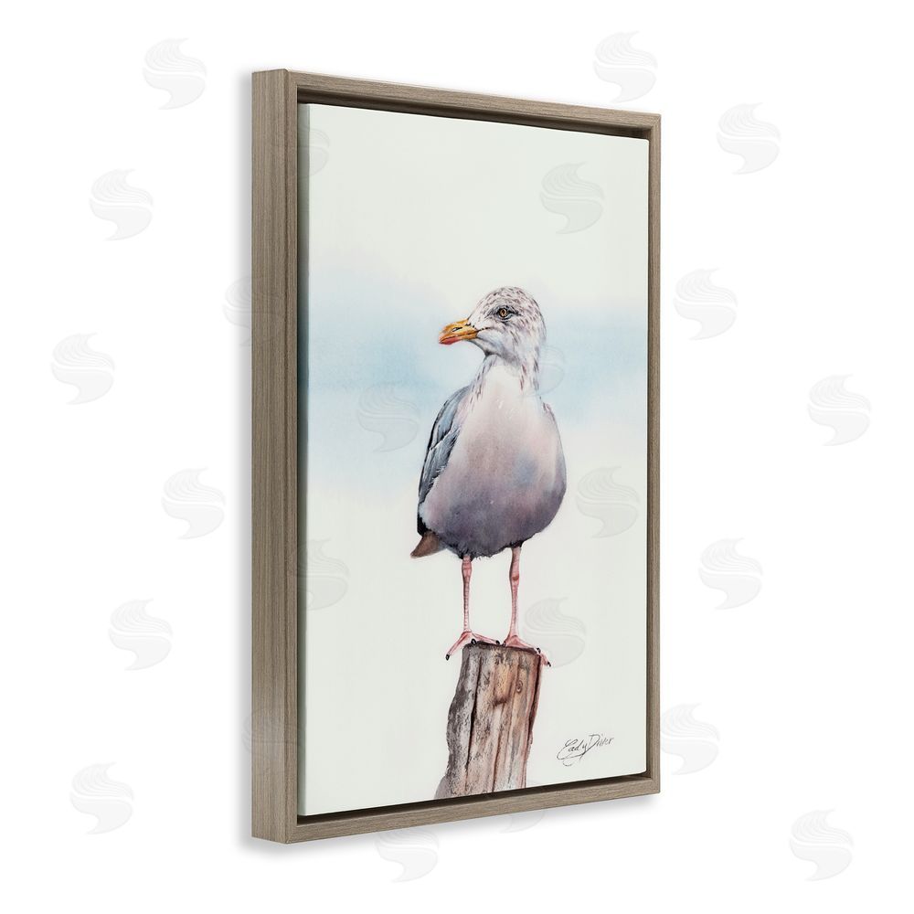 Cady Driver Seaside Seagull Perch Brown Floating Frame Canvas Wall Art Print