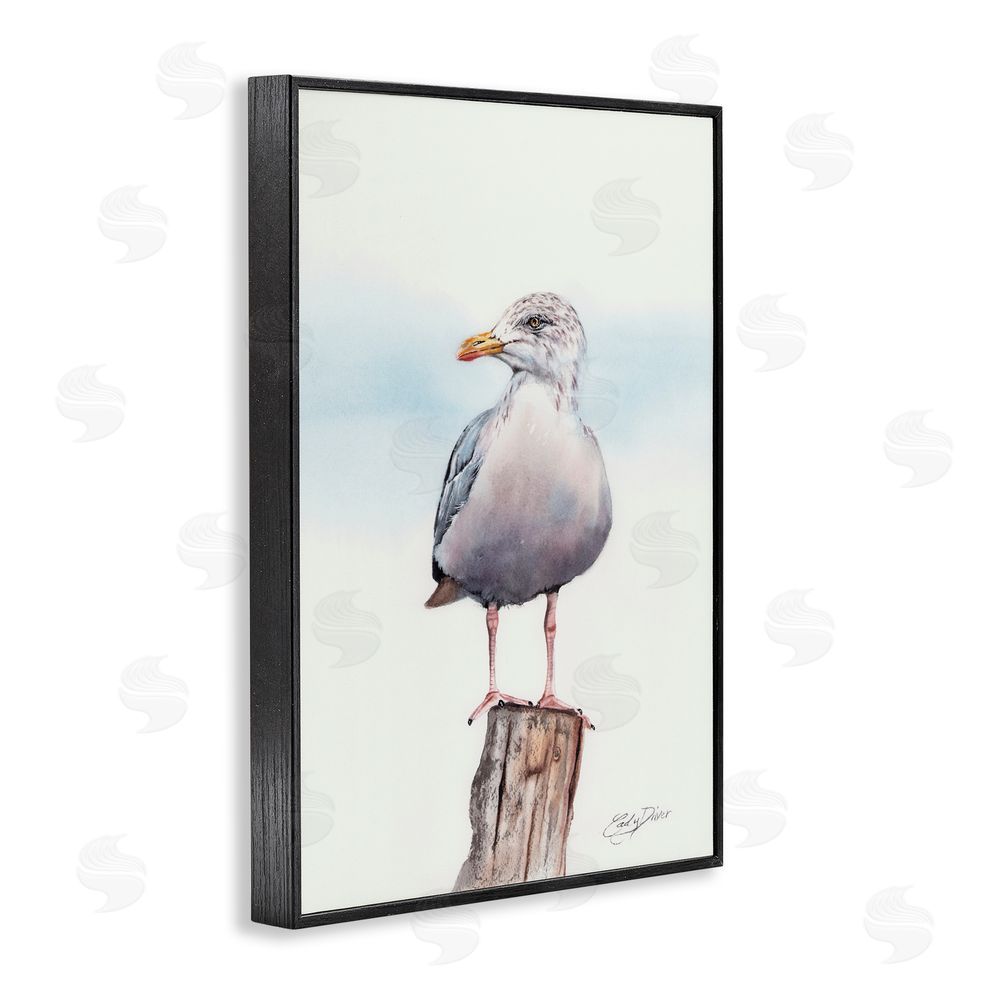 Cady Driver Seaside Seagull Perch Black Framed Giclee Wall Art Print