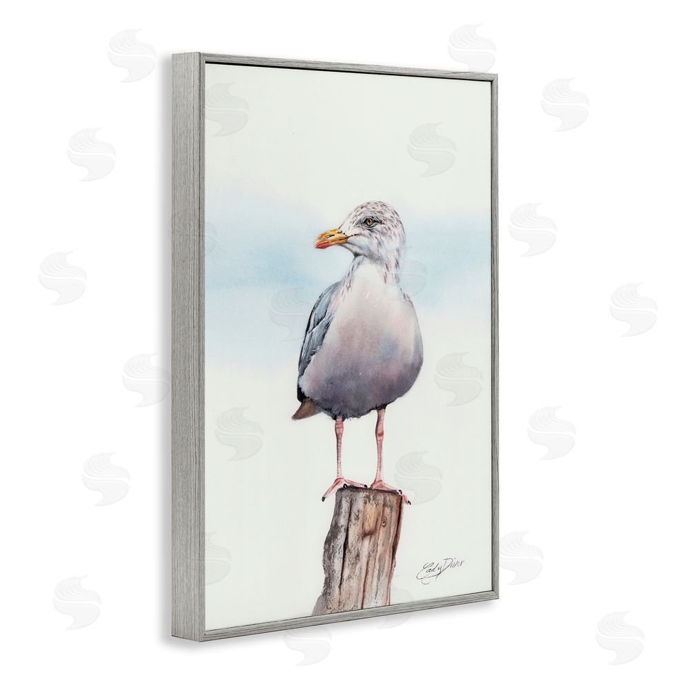 Cady Driver Seaside Seagull Perch Gray Framed Giclee Wall Art Print