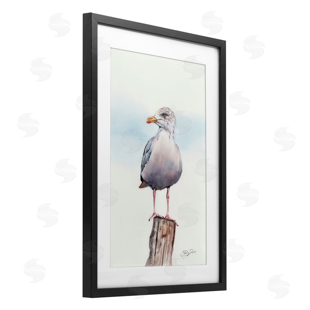 Cady Driver Seaside Seagull Perch Black Framed Print Under Glass with White Mat Wall Art